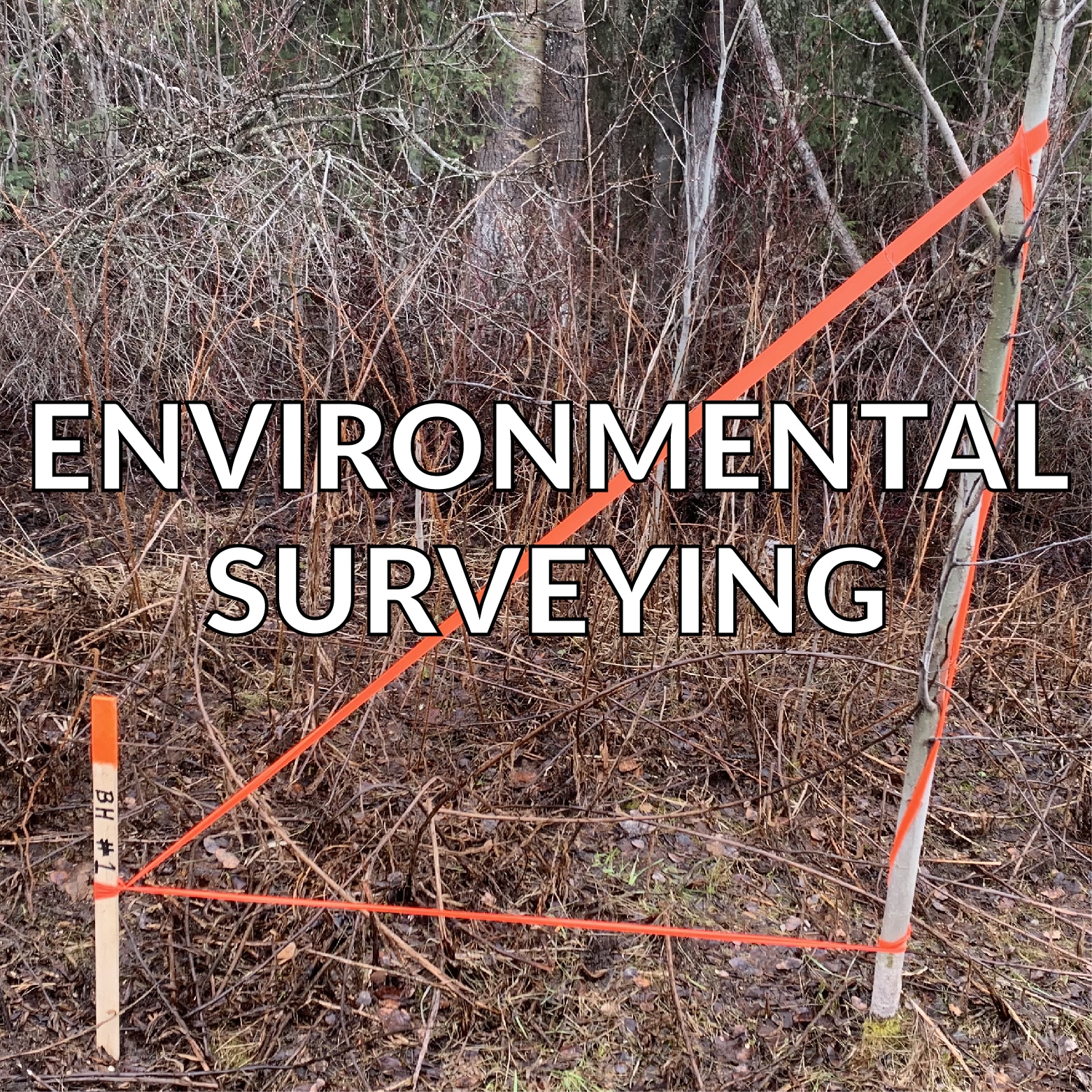 environmental surveying services alberta bc and yukon